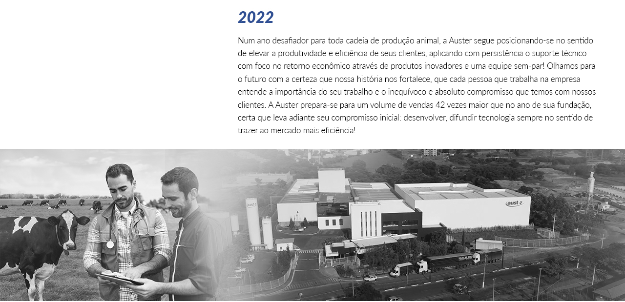 TimelineInstitucional_0000_Layer Comp 1