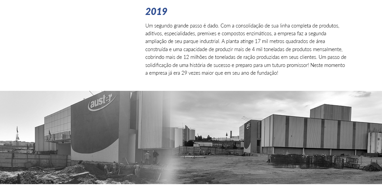 TimelineInstitucional_0001_Layer Comp 2