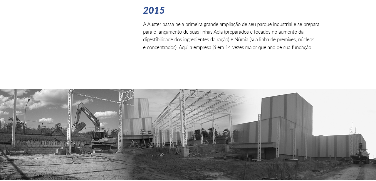 TimelineInstitucional_0002_Layer Comp 3