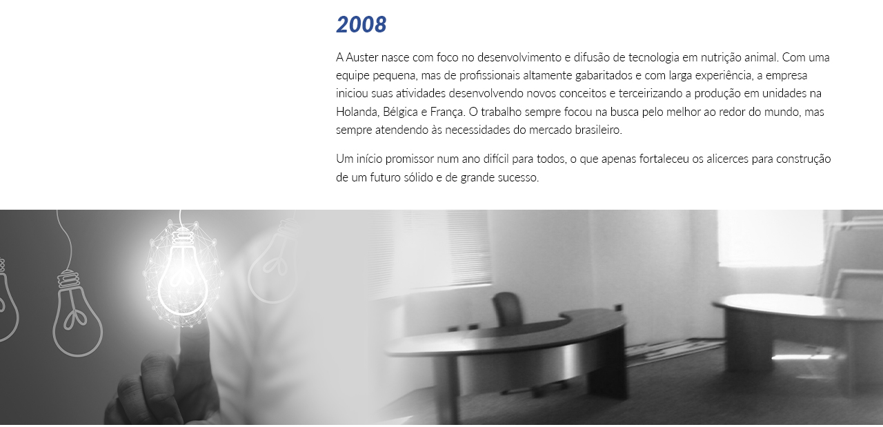 TimelineInstitucional_0005_Layer Comp 6